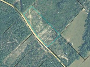 0 Roberson Town Rd, Jacksonville, GA 31544