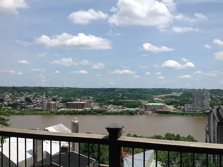 Mt. Adams Living — Photo 69