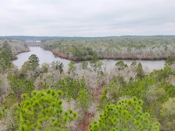 0 Browns Pond Rd, Wagener, SC 29164