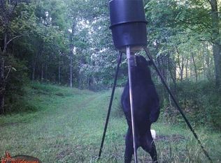 1101 Orchard Run, Spencer, WV 25276