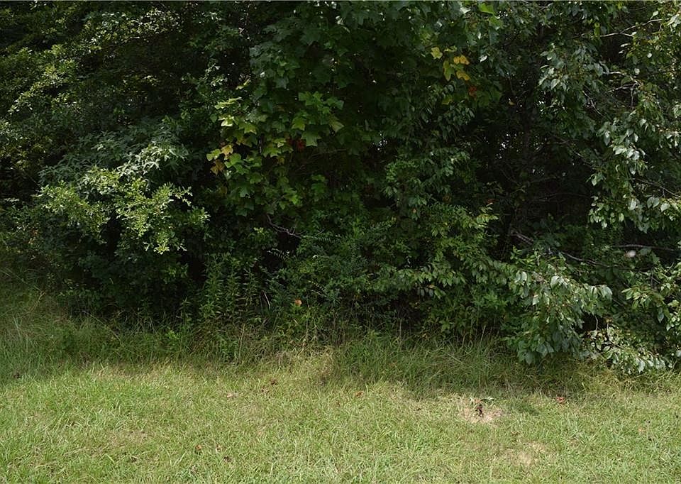 2nd image of 624 Potomac Dr