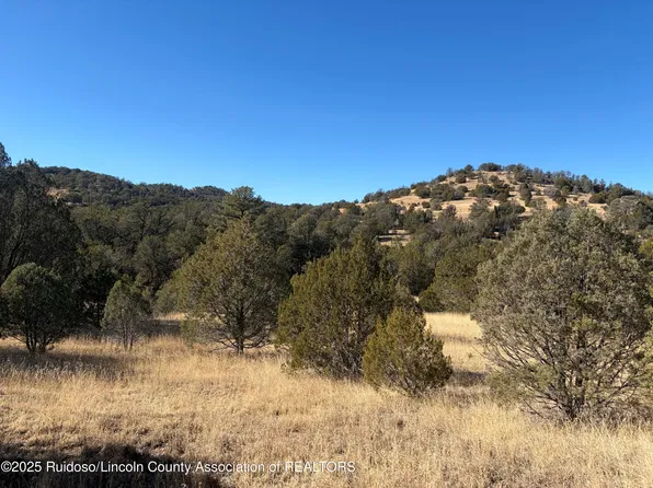 LOT 110 Rio Chama Dr, Alto, NM 88312