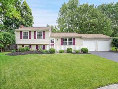 6510 Bunting Ct, Westerville, OH, 43081