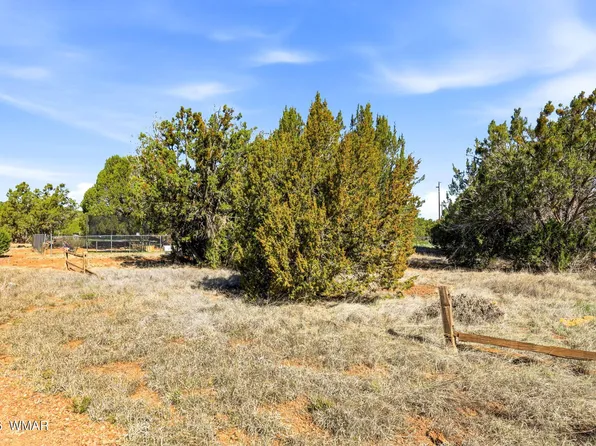 8318 Bear Meadow Dr, Show Low, AZ 85901