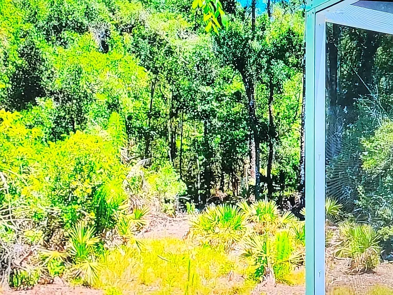 Conservation area