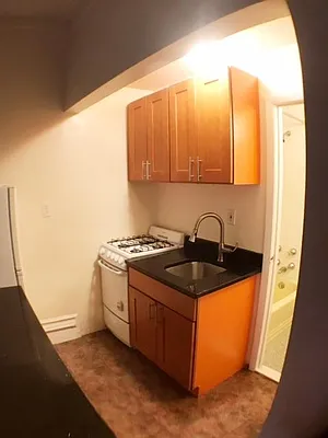 Rented by Furumoto Realty of New York City Inc | media 17