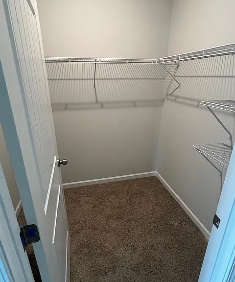 5433 Conifer Ln — Photo 13