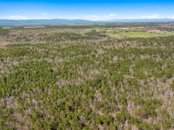 4 Plunketville Rd, Watson, OK 74963