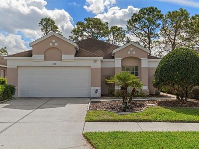 5548 Cannonade Dr, Zephyrhills, FL, 33544
