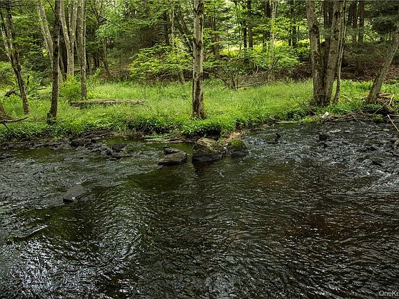 3rd image of TBD Chapin Trail