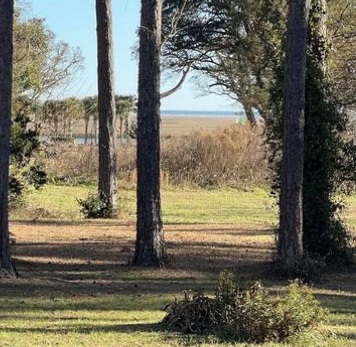 3 bed, 1900 sqft, $2,100 — Photo 4