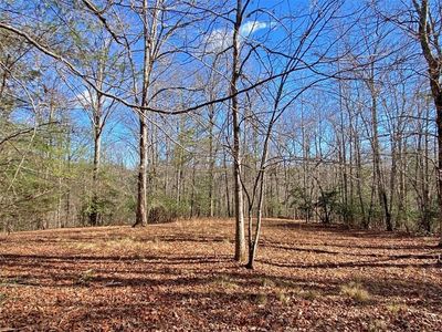 178AC Frogtown Rd #1-3, Dahlonega, GA, 30533