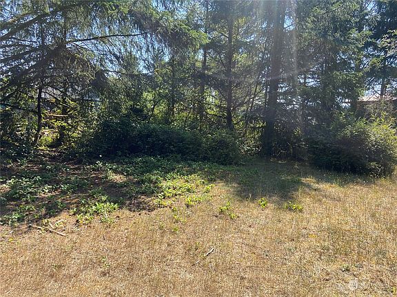 5th image of 257 Duck Lake Drive SE