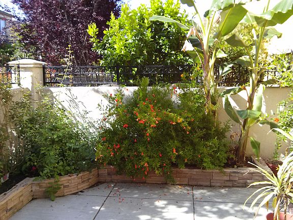 Garden w