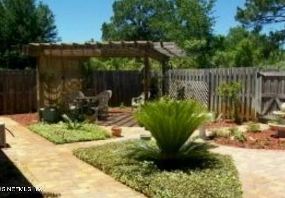 back yard