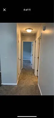 Dan St — Photo 4