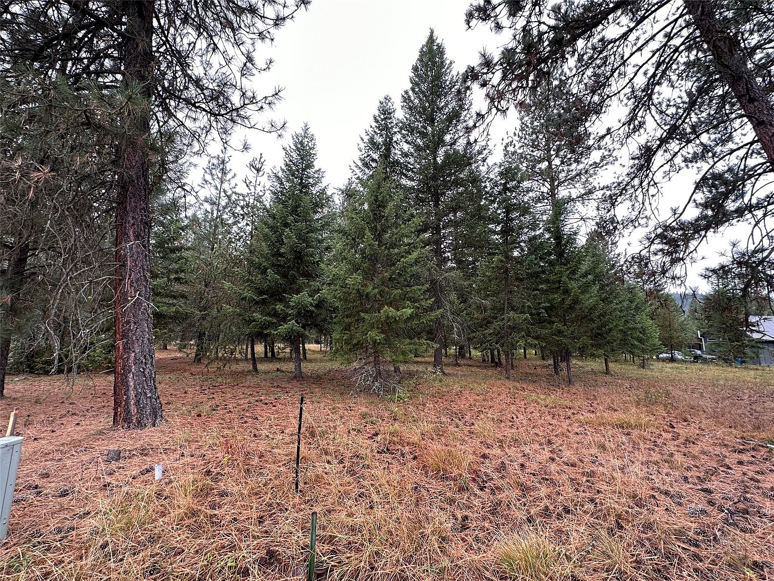 LOT 9 Fairview Dr, Saint Regis, MT 59866 MLS 30014253 Zillow
