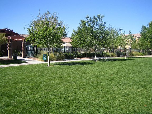 Community Park & Pool