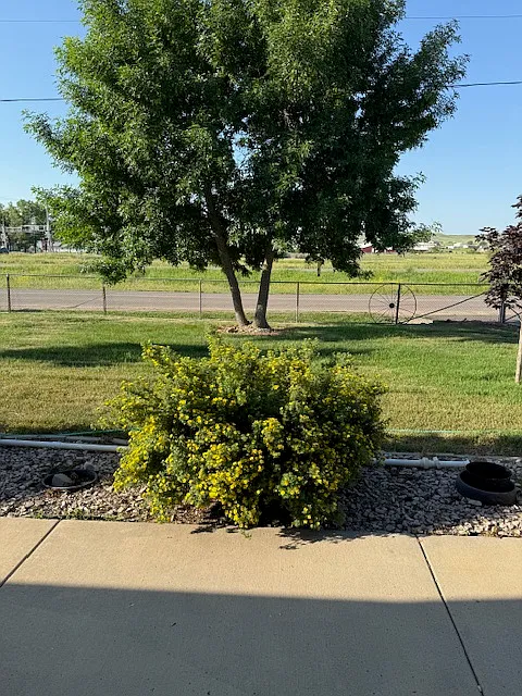 2 bed, 1.5 bath, 1200 sqft, $1,800 — Photo 3