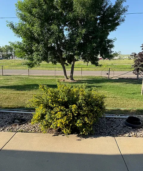 302 Box Elder Rd W — Photo 3