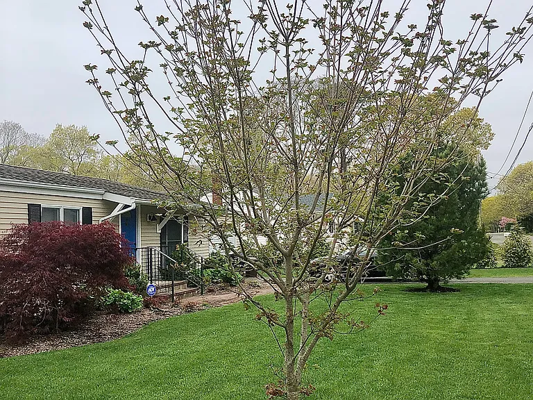 30 Tulip Ave — Photo 39