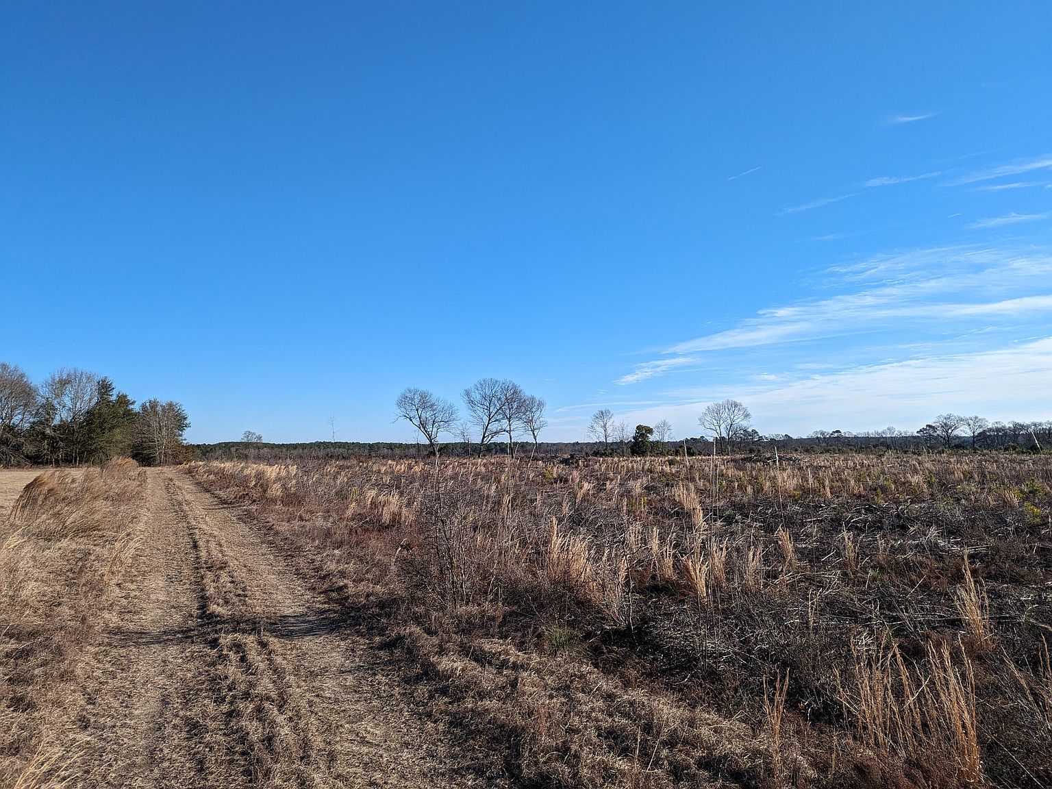 0 Hollow Creek Rd, Salley, SC 29137 Zillow
