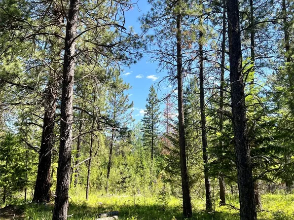 238 Marten Creek Rd, Trout Creek, MT 59874