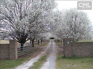 2nd image of 1460 Spring Hill Rd