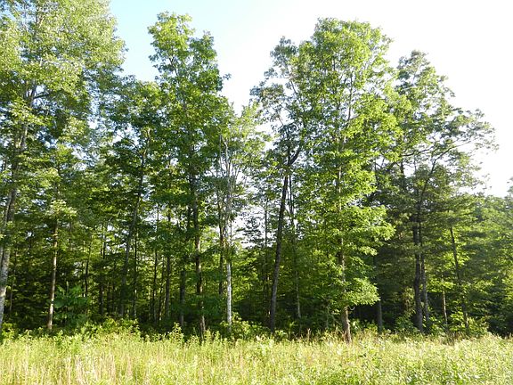 2nd image of 12 Toomey Falls Rd Lot 12