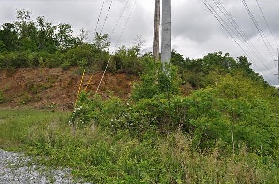 4th image of 6766 W Andrew Johnson Hwy
