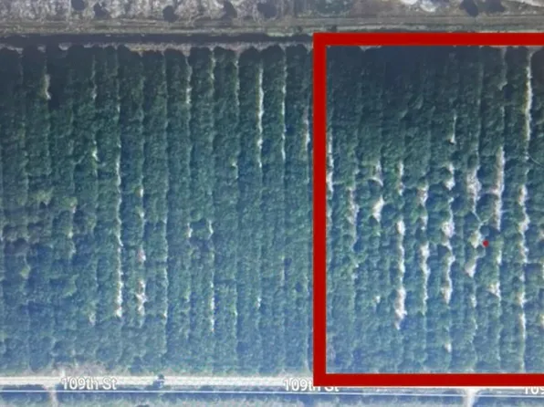 15050 109th St, Fellsmere, FL 32948