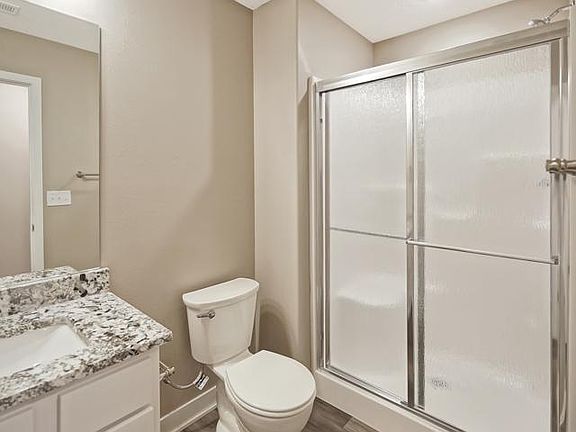 Lower Level Bathroom