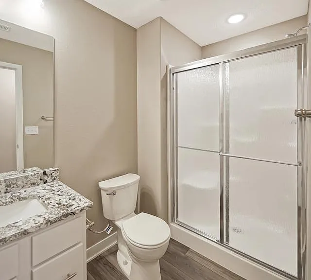Lower Level Bathroom