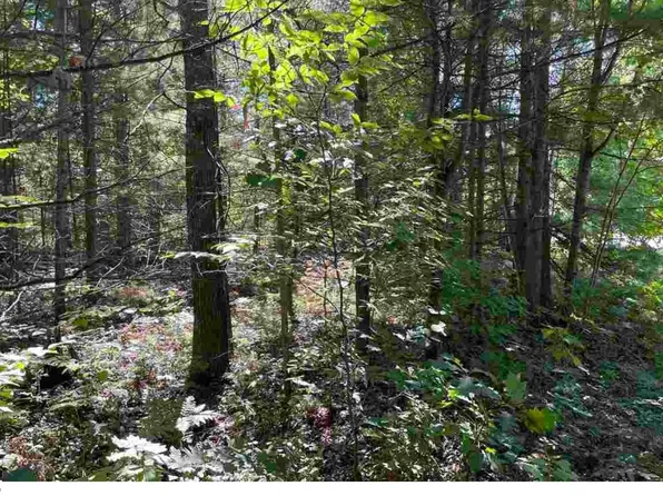 9303 23 Pine Circle Dr NW, Rapid City, MI 49676