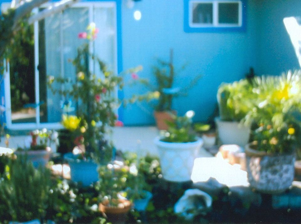 Back Landscaping