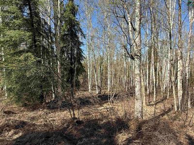 3330 Moonshine Run, Fairbanks, AK, 99709
