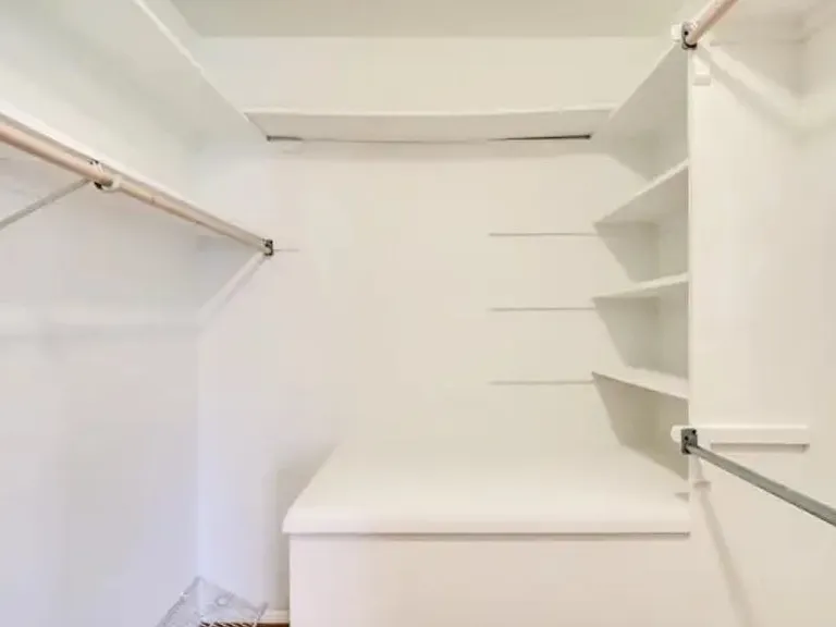 Primary Walk-in closet