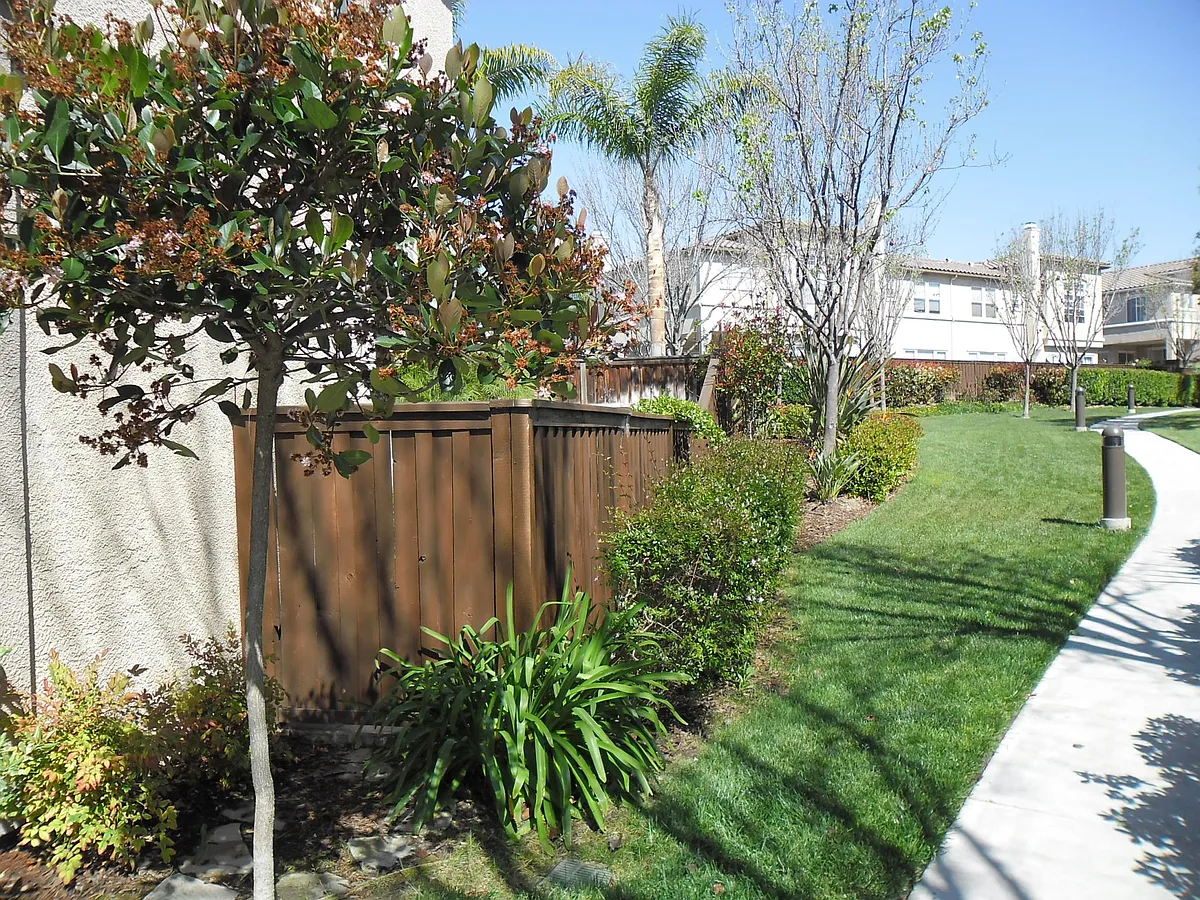 Building Photo - 1434 Caminito Capistrano #5
