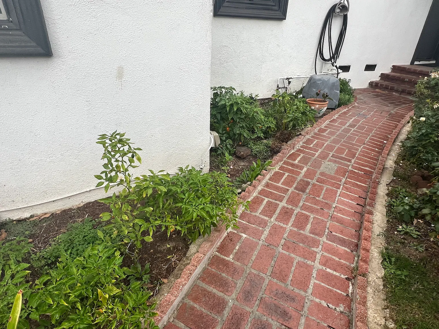 3 bed, 1500 sqft, $4,700 — Photo 4
