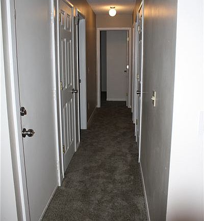 224