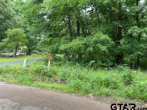 Circle Dr, Avinger, TX 75630