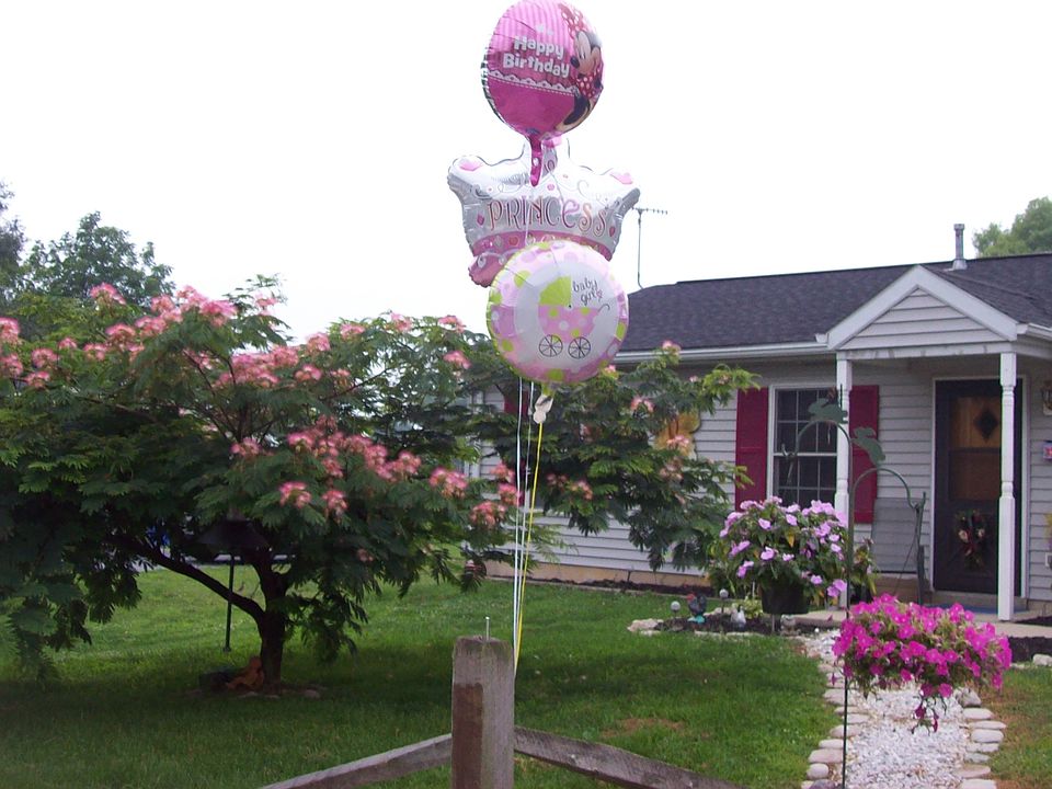 Beautiful Ranch home rural area