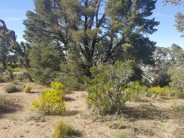 0 Scenic Dr #11, Wrightwood, CA 92397