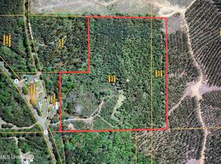 None Dry Stone Rd, Lena, MS 39094