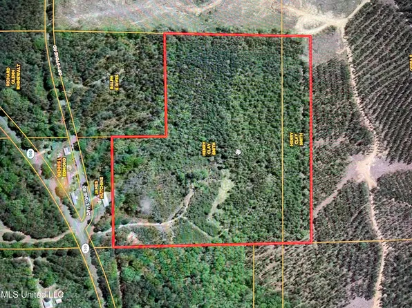None Dry Stone Rd, Lena, MS 39094