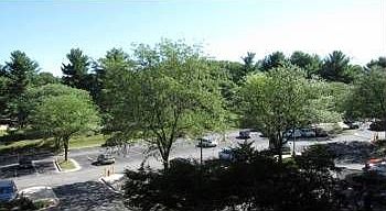 View from Balcony