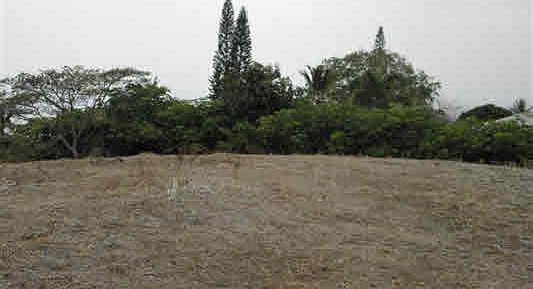 3rd image of Kalaniuka St Lot 3