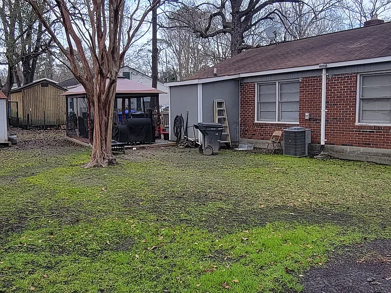 Backyard photo 1