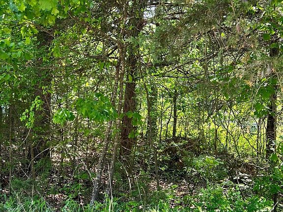 3rd image of 620 Skyline Dr