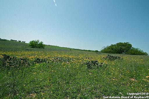 2nd image of 50 ACRES CR 312
